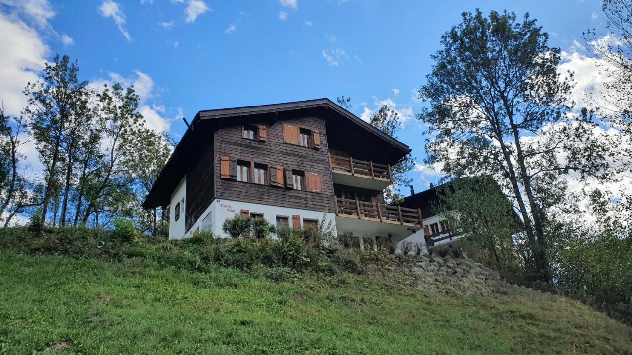 Chalet Carpe Diem Fieschertal Exteriör bild