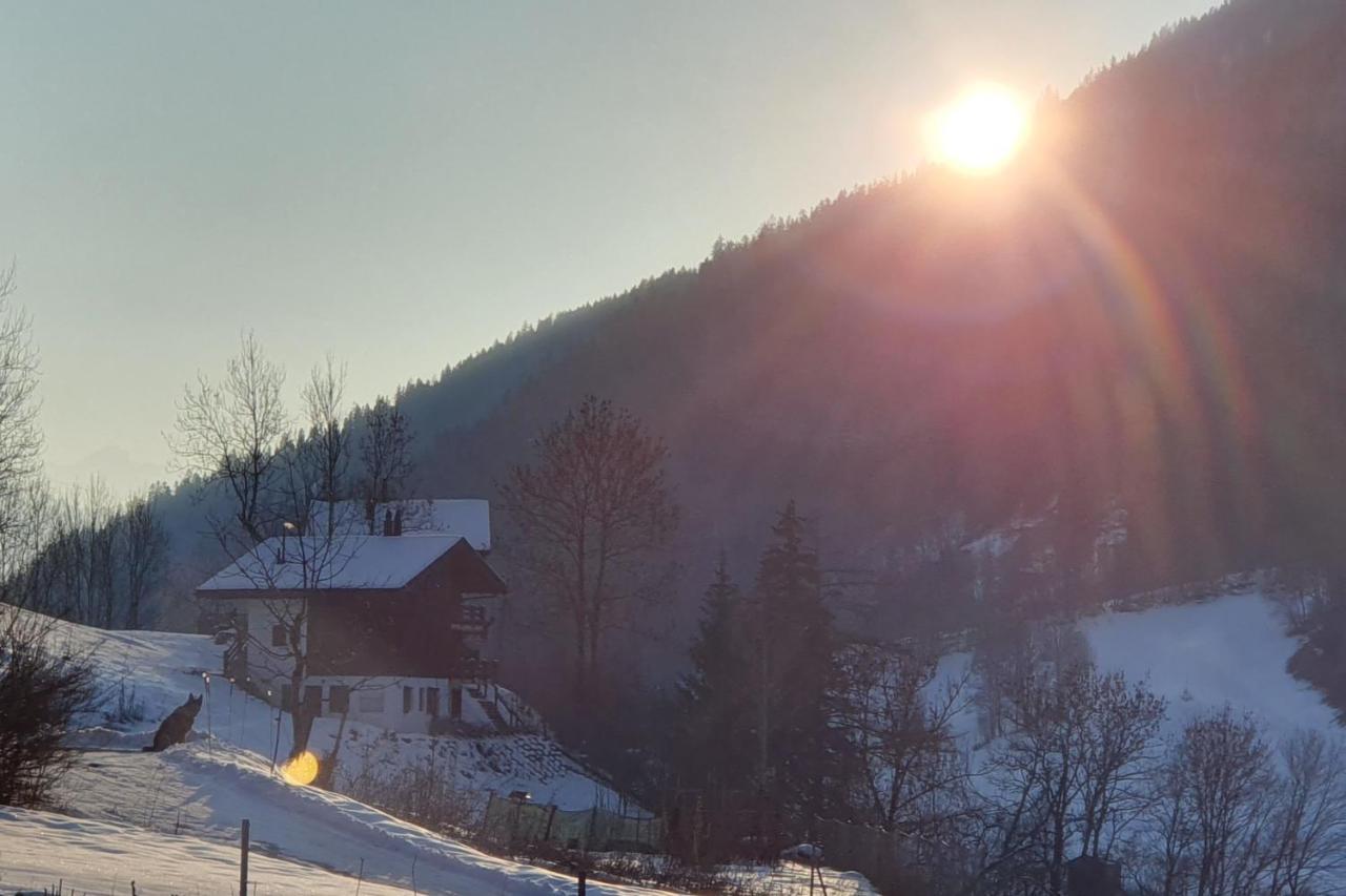 Chalet Carpe Diem Fieschertal Exteriör bild