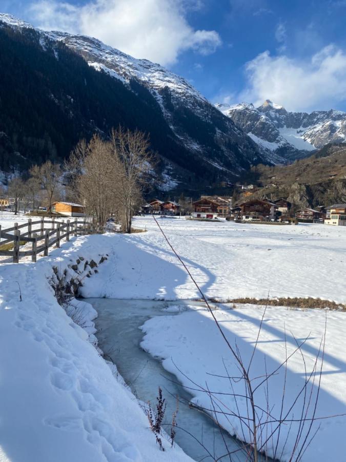 Chalet Carpe Diem Fieschertal Exteriör bild